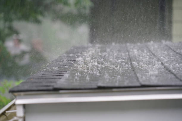 Best 4 Ply Roofing  in Lockport, IL