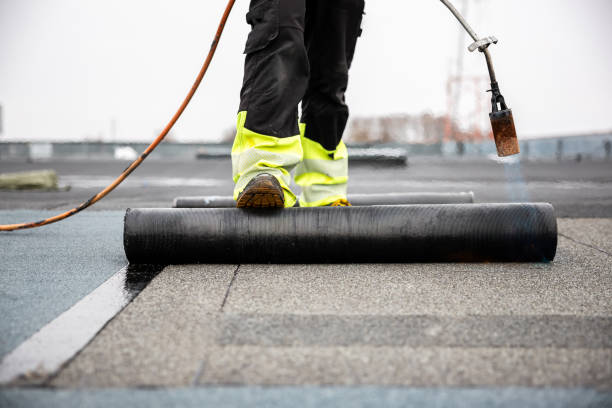 Best Roof Insulation Installation  in Lockport, IL