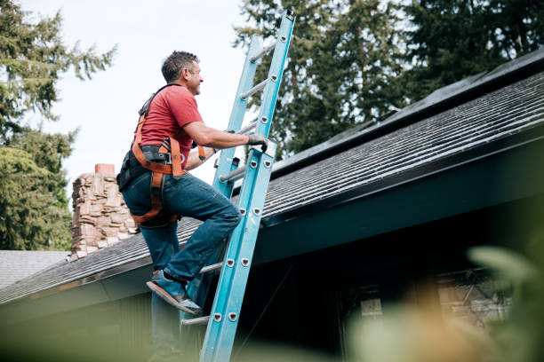 Best Skylight Installation and Repair  in Lockport, IL